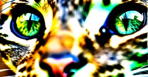 Objawy wścieklizny u kota: Rozpoznaj je i działaj szybko!