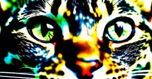 Po co kotu wąsy? Odkryj ich tajemniczą moc i funkcje!